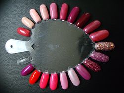 Z91 - roses.JPG